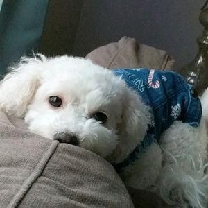 Meet your Posher, Andre